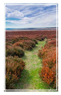 Landscape Photography